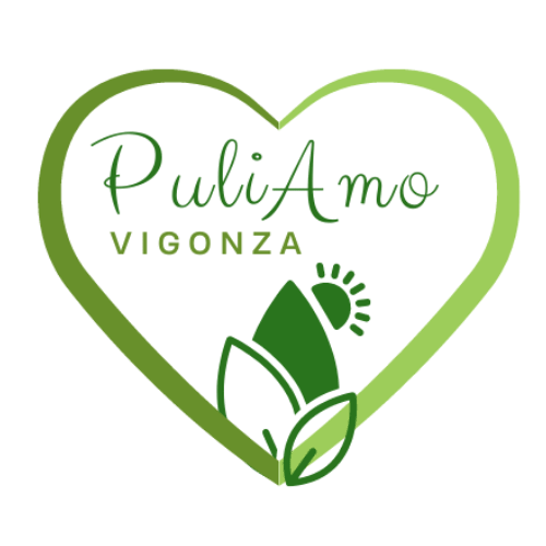 Logo Puliamo Vigonza