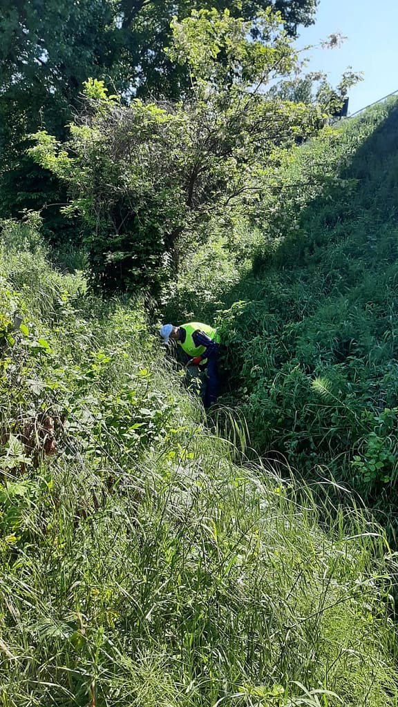 Pulizia ambientale San Vito - Italmondo - Maggio 2024