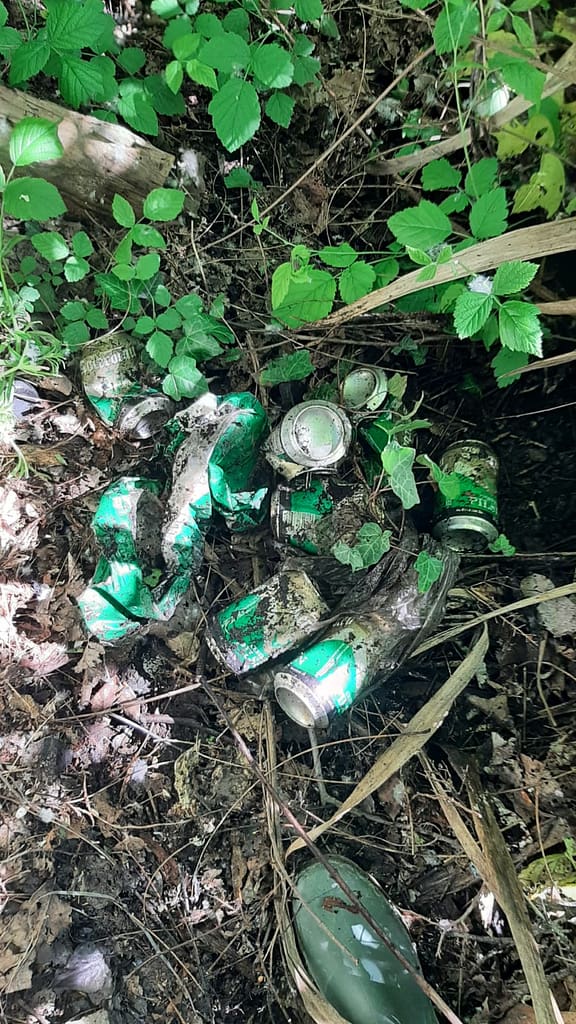 Pulizia ambientale San Vito - Italmondo - Maggio 2024