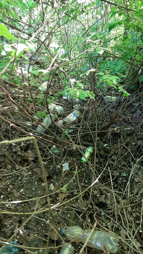 Pulizia ambientale San Vito - Italmondo - Maggio 2024