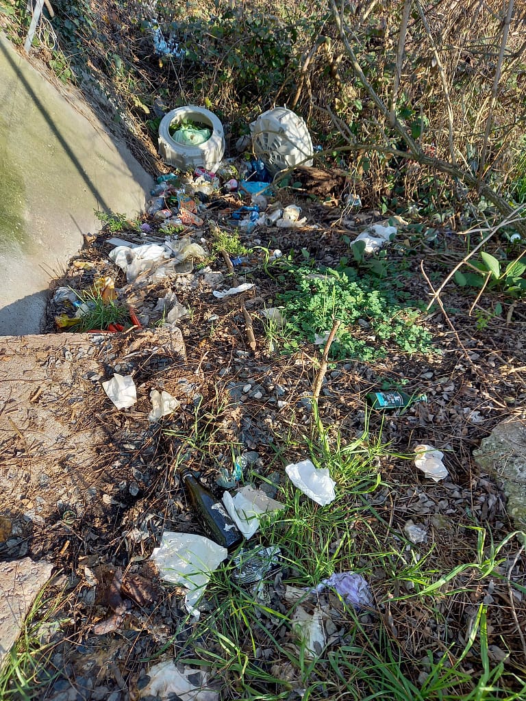 Pulizia argine Busa di Vigonza - Ponte di Brenta