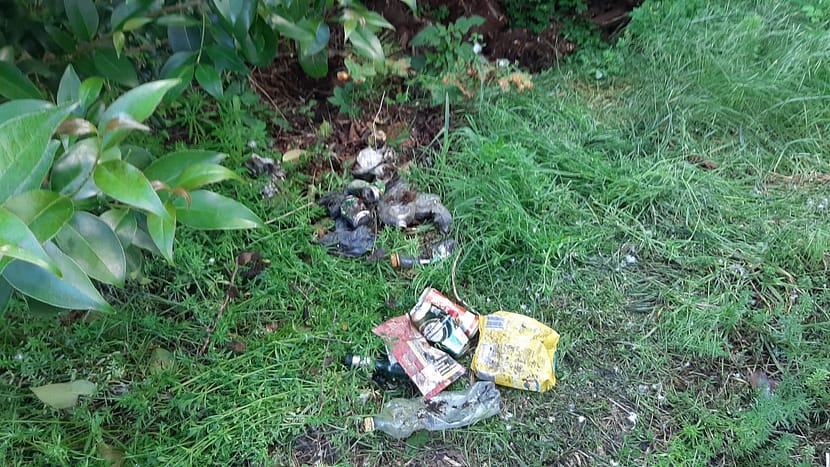 Pulizia ambientale San Vito - Italmondo - Maggio 2024