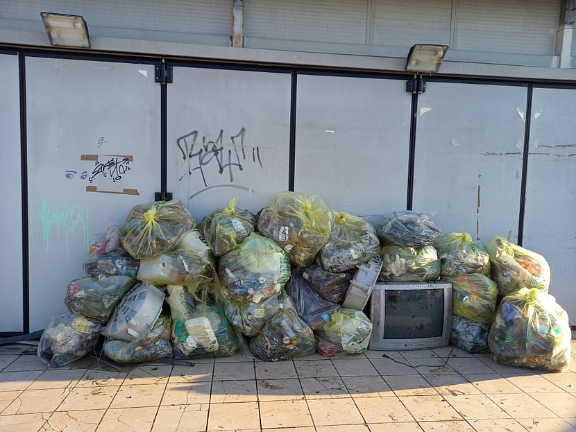 Pulizia argine Busa di Vigonza - Ponte di Brenta