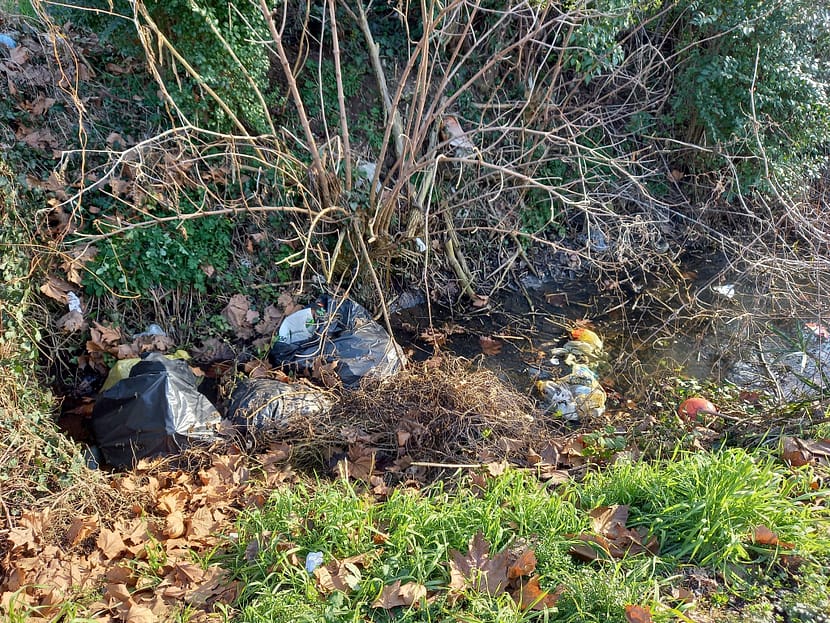 Via Padova Vigonza Pulizia Territorio